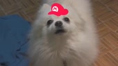 3362