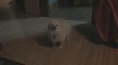 3228