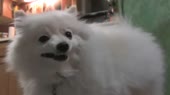 1760