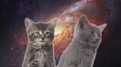 10108