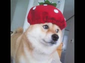3548