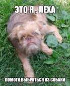 89