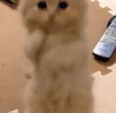 2303