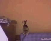 1743