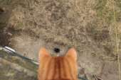 181