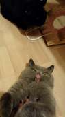 236