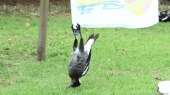 7555