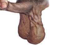 300x200