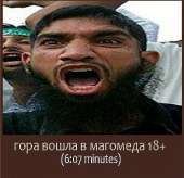 500x484
