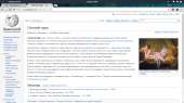 1366x768