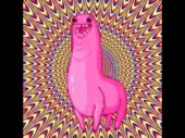 320x240
