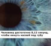 500x452