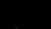 498x282