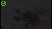 450x256