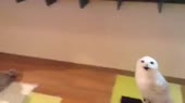 640x360