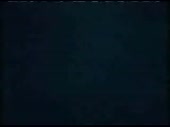 320x240