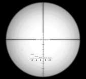 976x890