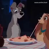 360x360