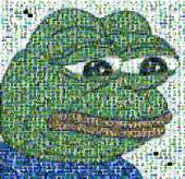 800x774