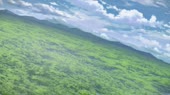 960x540