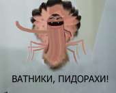 600x482