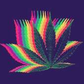 500x500