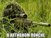 604x453