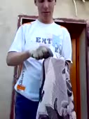 240x320