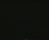292x240