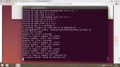 1366x768