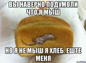 642x479