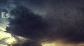 800x442