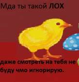 430x446