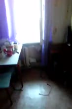 360x540