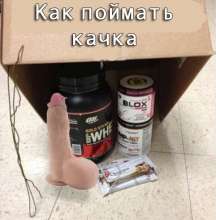 482x489