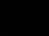 384x288