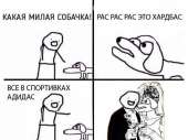 604x453
