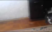 720x450