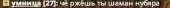250x13
