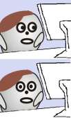 260x427