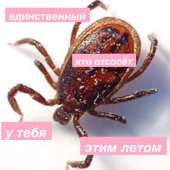 600x600