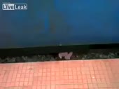 480x360
