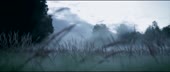 1100x466