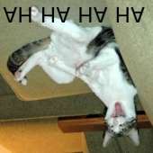 300x300