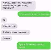 500x499