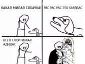 604x453