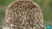 500x282