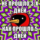 500x500