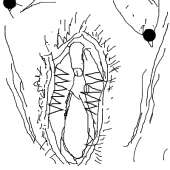 400x400