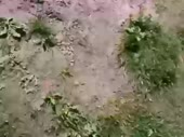 480x360